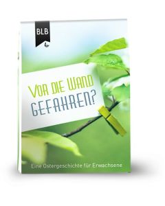 Vor die Wand gefahren?