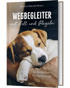 Wegbegleiter mit Fell und Flügeln