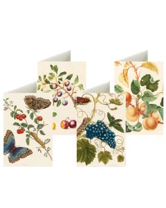 Briefkarten-Set 8 Ex. 'Früchtewelt Merian'