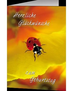 Faltkarte Lege alles in Gottes Hand!